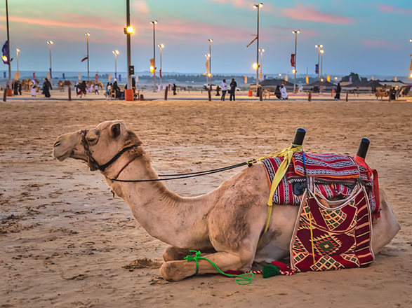 Escale Arabie Saoudite (Dammam)