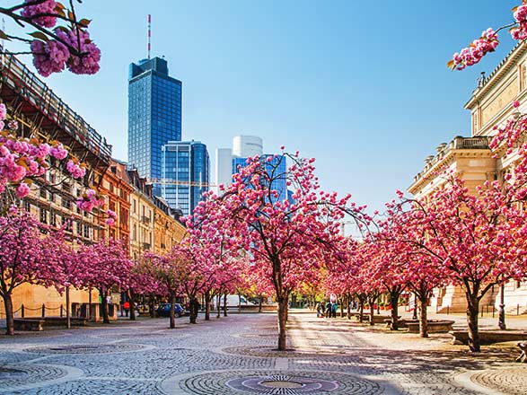 Escale Allemagne