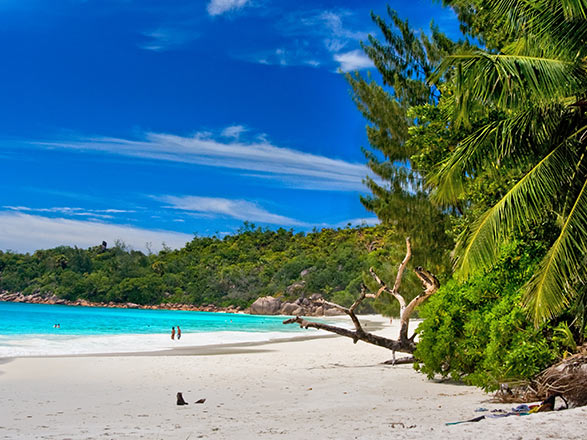 Escale Iles Salomon (Guadalcanal)