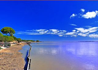 Escale Huelva - Séville