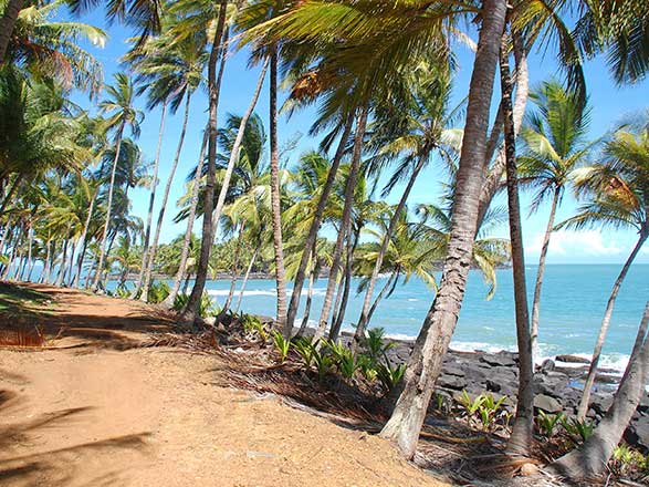 Escale Guyane Française (Ile Royal)