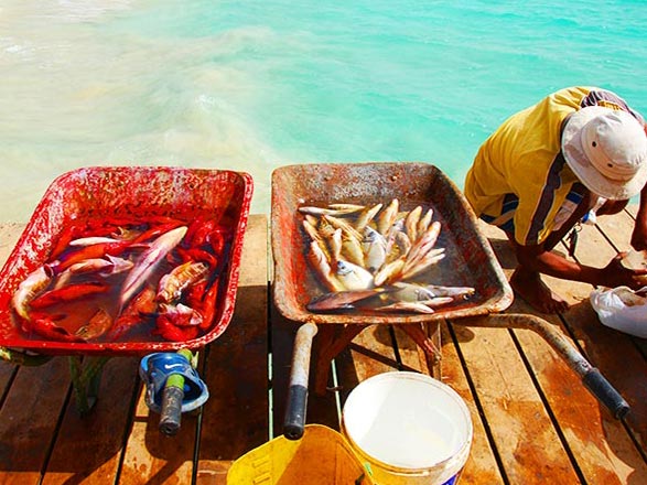 Escale Cap Vert (Ile de Sal)