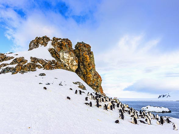Escale Antarctique (Iles Shetland du Sud)
