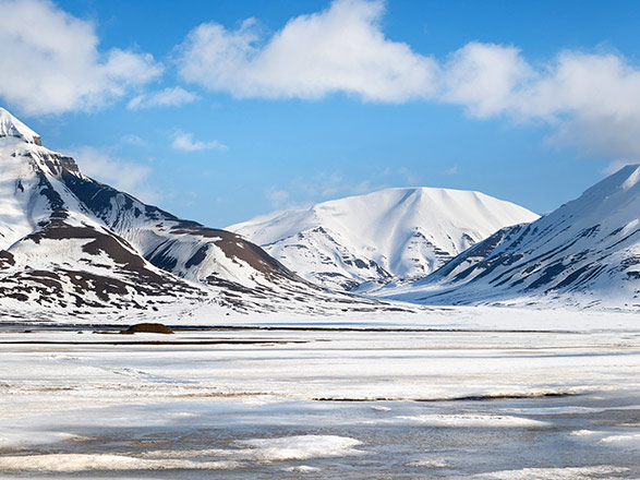 Escale Spitzberg (Isfjord, Alkhornet)
