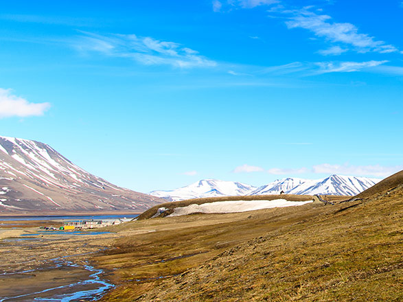 Escale Spitzberg (Isfjord, Alkhornet)