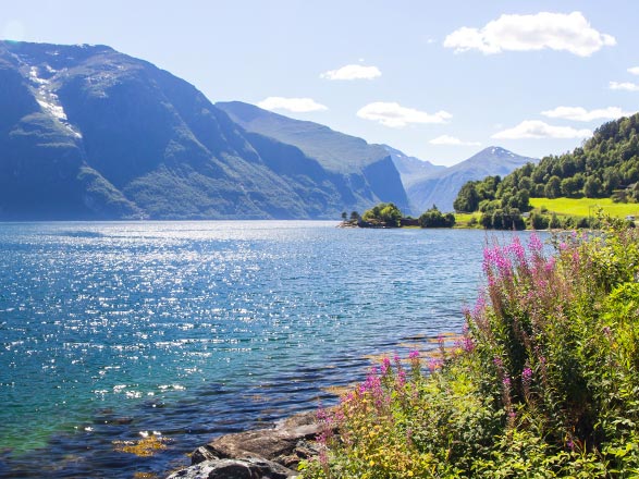 Escale Spitzberg (Isfjord, Alkhornet)