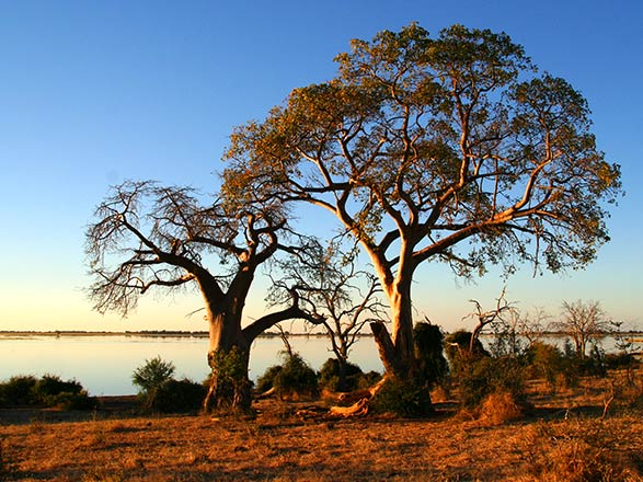 Escale LAC KARIBA - NAVIGATION SUR LA RIVIERE GACHE-GACHE (Zimbabwe)