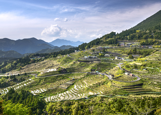 Escale Japon (Kumano)