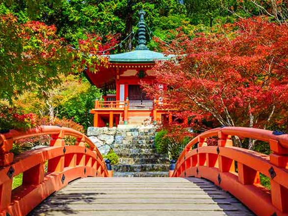 Escale Japon (Kyoto)