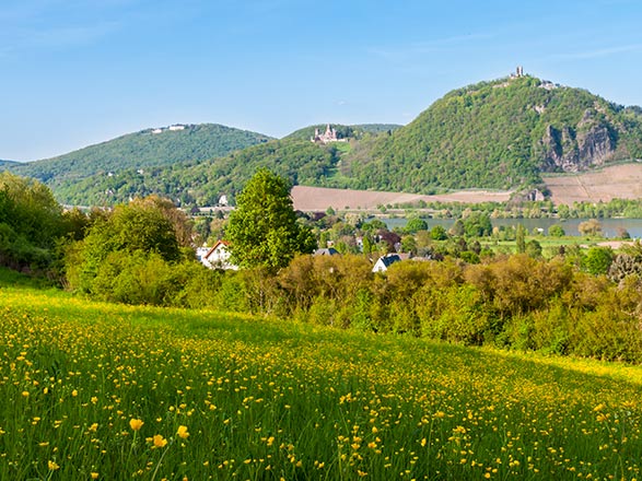 Escale KONIGSWINTER - RUDESHEIM AM RHEIN