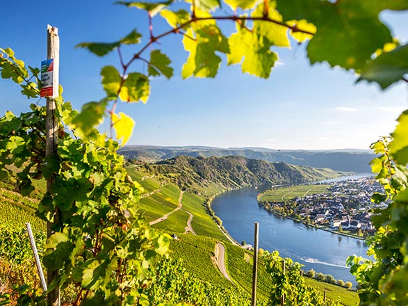 Escale LAGARDE-EN-MOSELLE