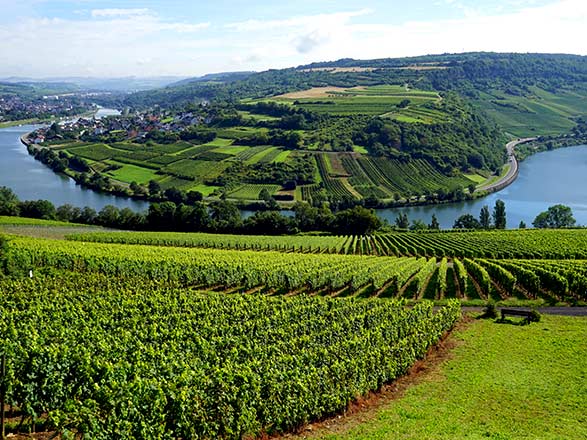 Escale LAGARDE-EN-MOSELLE