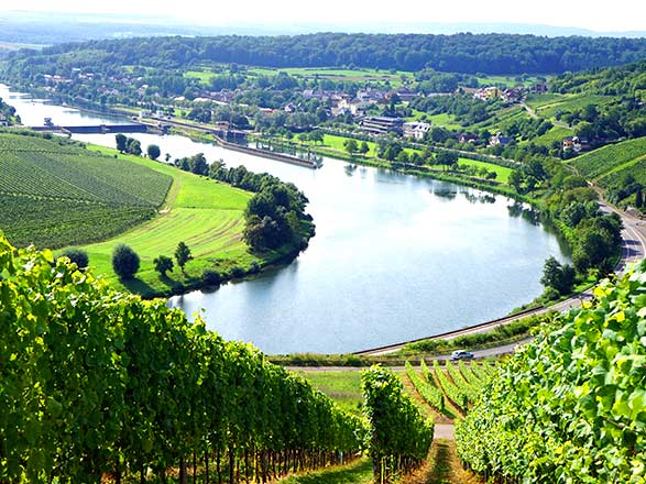 Escale LAGARDE-EN-MOSELLE