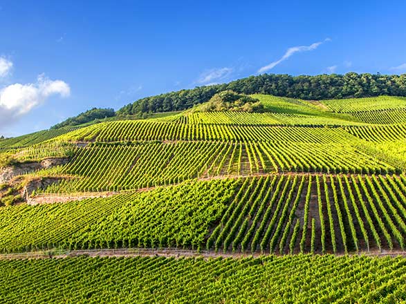 Escale LAGARDE-EN-MOSELLE