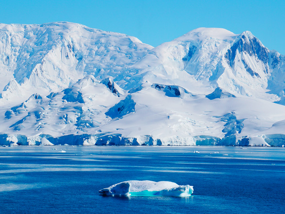 Escale Antarctique (Melchior Islands)