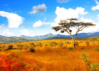 Escale Kenya (Mombasa)