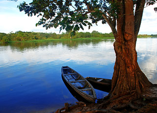 Escale Amazonie (Nova Airo)