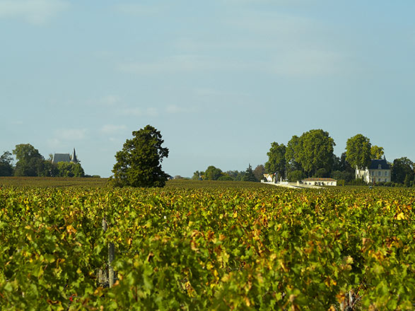 Escale Pauillac (FR)