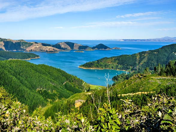 Escale Nouvelle-Zélande (Picton)