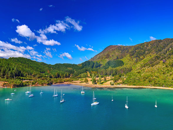 Escale Nouvelle-Zélande (Picton)