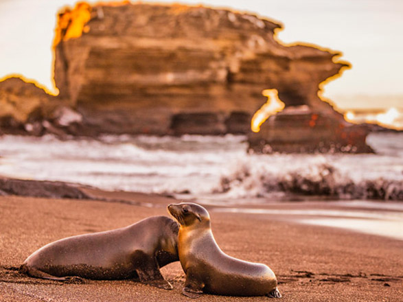 Escale Iles Galapagos (Puerto Egas)
