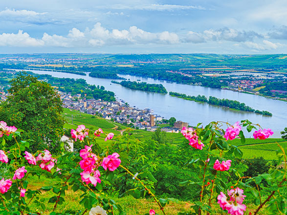 Escale RUDESHEIM - COBLENCE