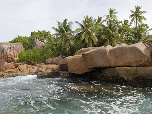 Escale Seychelles (St Pierre)