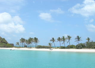 Escale Iles Grenadines (Tobago Cays)