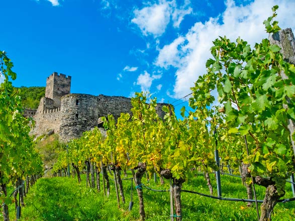 Escale Spitz (Autriche)