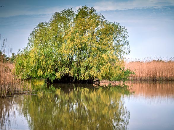 Escale Roumanie (Sulina)