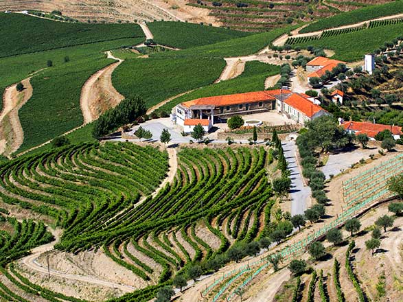 Escale REGUA - PINHAO - VEGA DE TERON (Espagne)