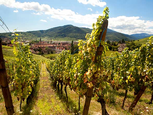 Escale WALTENHEIM SUR ZORN