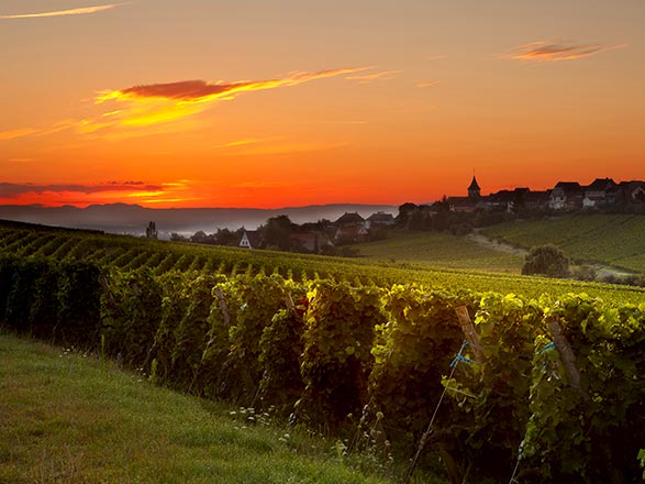 Escale WALTENHEIM SUR ZORN