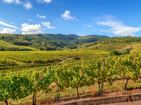 Escale WALTENHEIM SUR ZORN