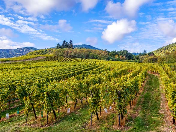 Escale WALTENHEIM SUR ZORN