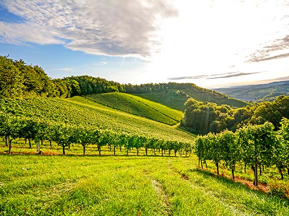 Escale XOUAXANGE-EN-MOSELLE