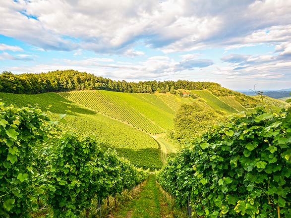 Escale XOUAXANGE-EN-MOSELLE