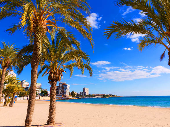 https://static.service-voyages.com/mobile/croisiere/images/fr/escales/escale,alicante-alicante_zoom,ES,ALC,38400.jpg