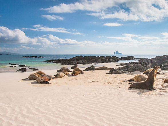 https://static.service-voyages.com/mobile/croisiere/images/fr/escales/escale,baltra-baltra_zoom,EC,ZZZ,517347.jpg