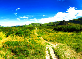 https://static.service-voyages.com/mobile/croisiere/images/fr/escales/escale,dunedin-dunedin_zoom,NZ,DUD,9849.jpg