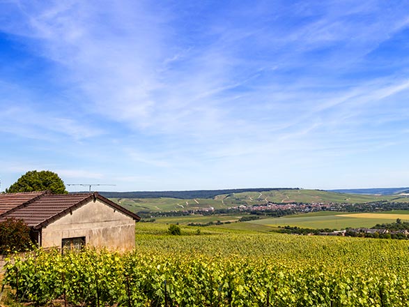 https://static.service-voyages.com/mobile/croisiere/images/fr/escales/escale,epernay-epernay_zoom,FR,EPY,38414.jpg