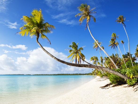 https://static.service-voyages.com/mobile/croisiere/images/fr/escales/escale,fort-de-france-fort-de-france_zoom,MQ,FDF,31874.jpg