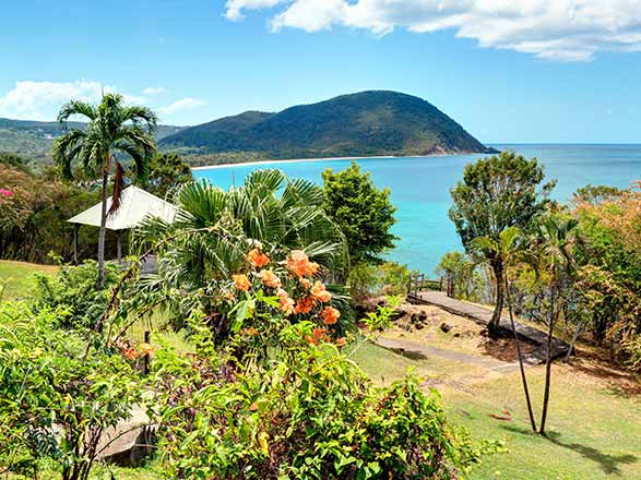 https://static.service-voyages.com/mobile/croisiere/images/fr/escales/escale,pointe-à-pitre-pointe-à-pitre_zoom,GP,PTP,538818.jpg