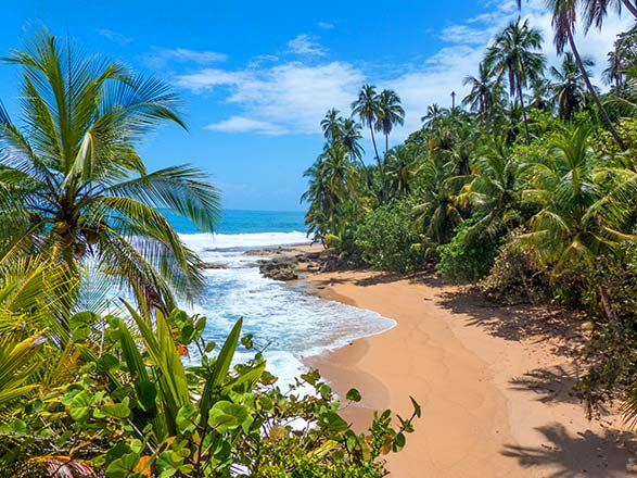 https://static.service-voyages.com/mobile/croisiere/images/fr/escales/escale,puerto caldera-puerto caldera_zoom,CR,PTC,37123.jpg