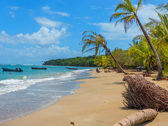 https://static.service-voyages.com/mobile/croisiere/images/fr/escales/escale,puerto caldera-puerto caldera_zoom,CR,PTC,37124.jpg
