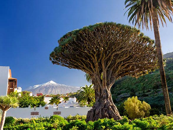 https://static.service-voyages.com/mobile/croisiere/images/fr/escales/escale,santa cruz de tenerife-santa cruz de tenerife_zoom,ES,SCT,63169.jpg