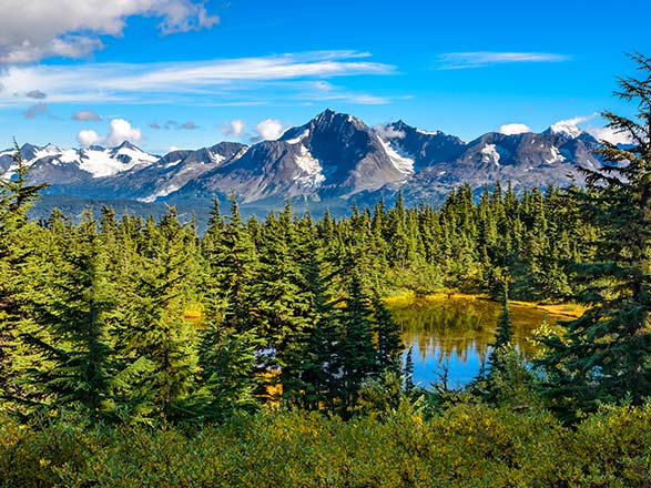 https://static.service-voyages.com/mobile/croisiere/images/fr/escales/escale,seward-seward_zoom,US,SWD,45931.jpg