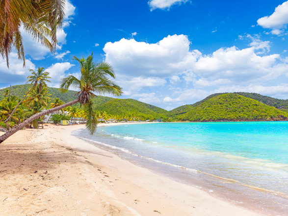 https://static.service-voyages.com/mobile/croisiere/images/fr/escales/escale,st john's-st john's_zoom,AG,SJO,544879.jpg