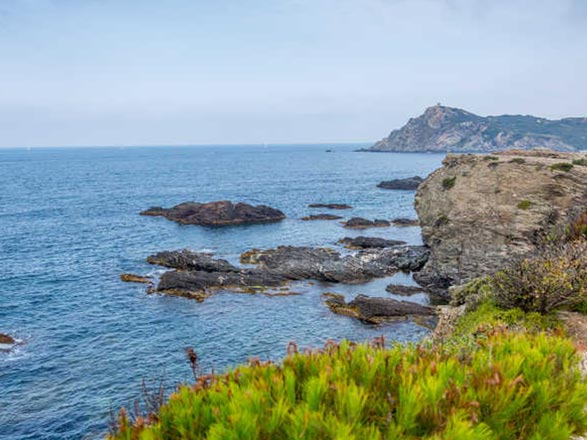 https://static.service-voyages.com/mobile/croisiere/images/fr/escales/escale,toulon (la seyne sur mer)-toulon (la seyne sur mer)_zoom,FR,YNE,46436.jpg