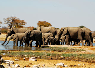 https://static.service-voyages.com/mobile/croisiere/images/fr/escales/escale,walvis bay-walvis bay_zoom,NA,WVB,13835.jpg